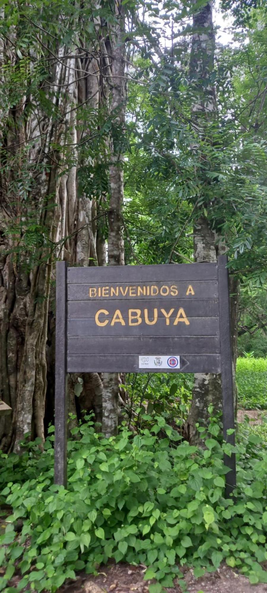 Luz De Estrella Studios Cabuya  Dış mekan fotoğraf