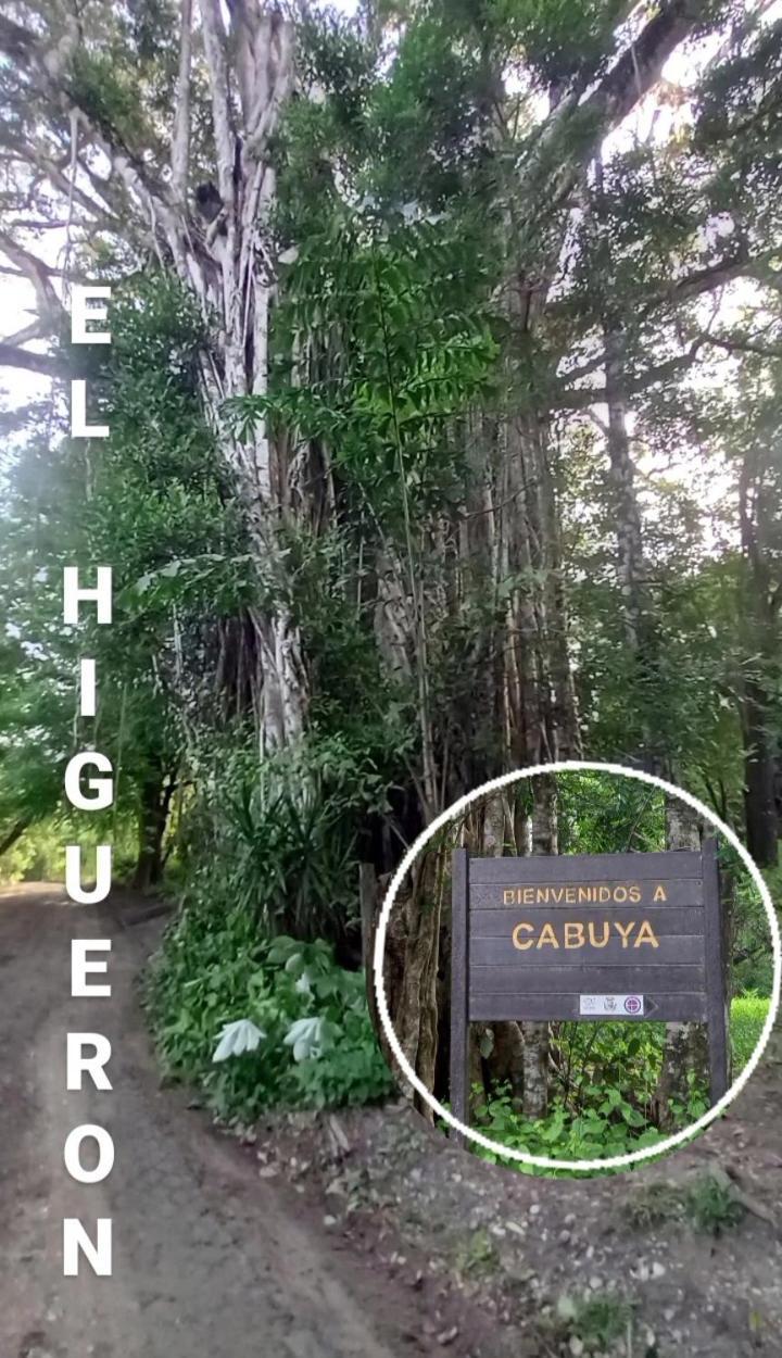 Luz De Estrella Studios Cabuya  Dış mekan fotoğraf